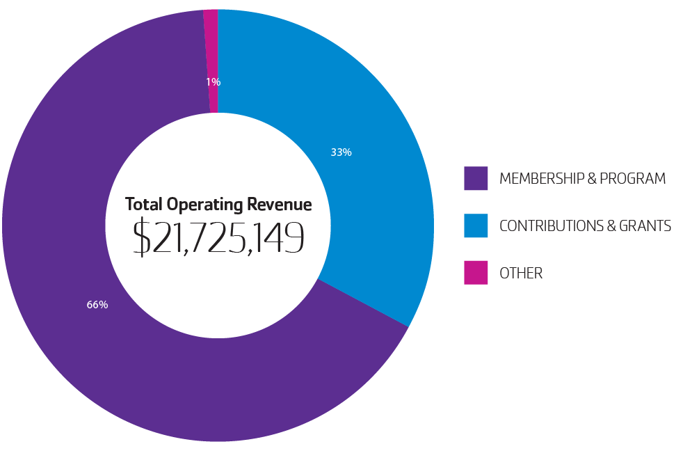 pie chart - 2022 total operating Revenue